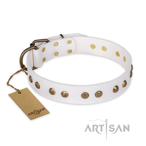 Inimitable full grain natural leather dog collar with reliable D-ring