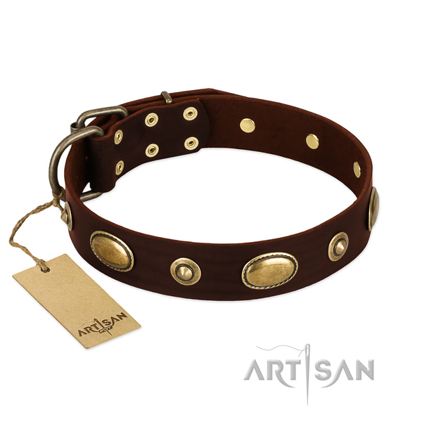 Incredible full grain leather collar for your four-legged friend