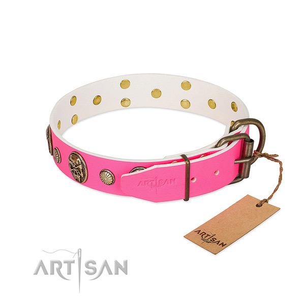 Durable adornments on full grain genuine leather dog collar for your pet