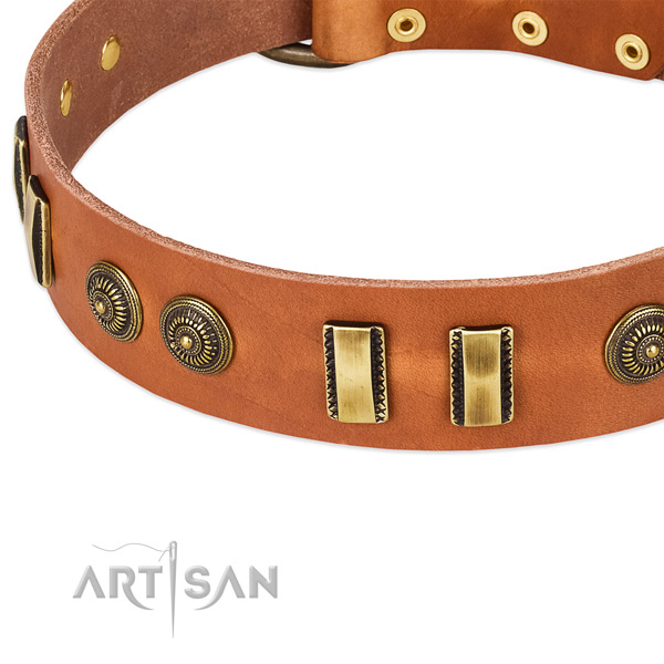 Corrosion proof traditional buckle on natural leather dog collar for your dog