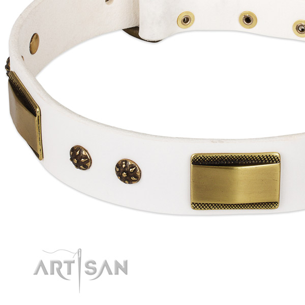 Rust resistant embellishments on natural genuine leather dog collar for your four-legged friend