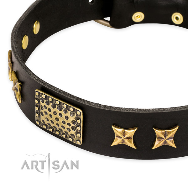 Genuine leather collar with reliable D-ring for your attractive four-legged friend