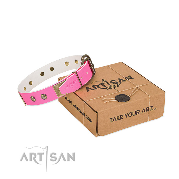 Reliable fittings on dog collar for everyday walking