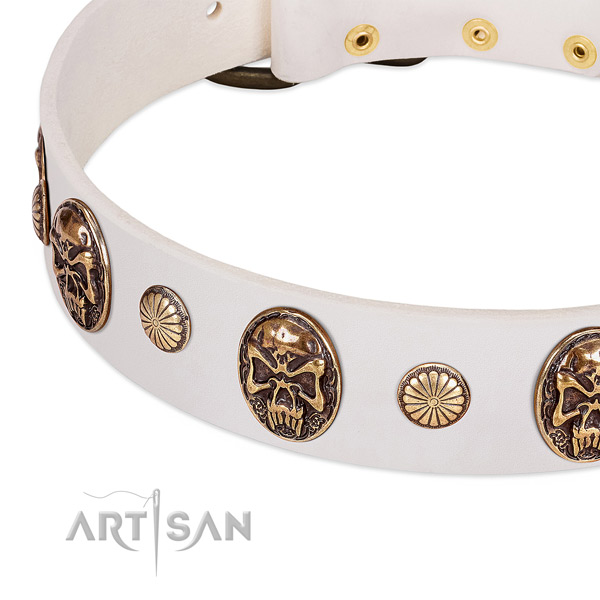 Corrosion proof adornments on full grain leather dog collar for your doggie