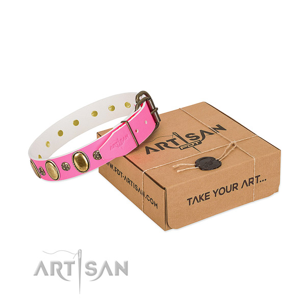 Quality genuine leather dog collar with corrosion resistant fittings