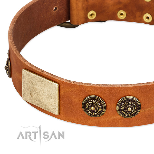 Stunning dog collar made for your lovely canine
