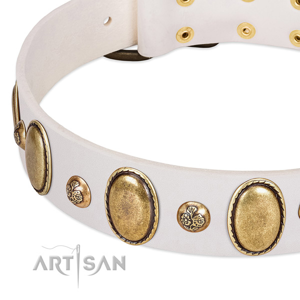 Genuine leather dog collar with amazing studs