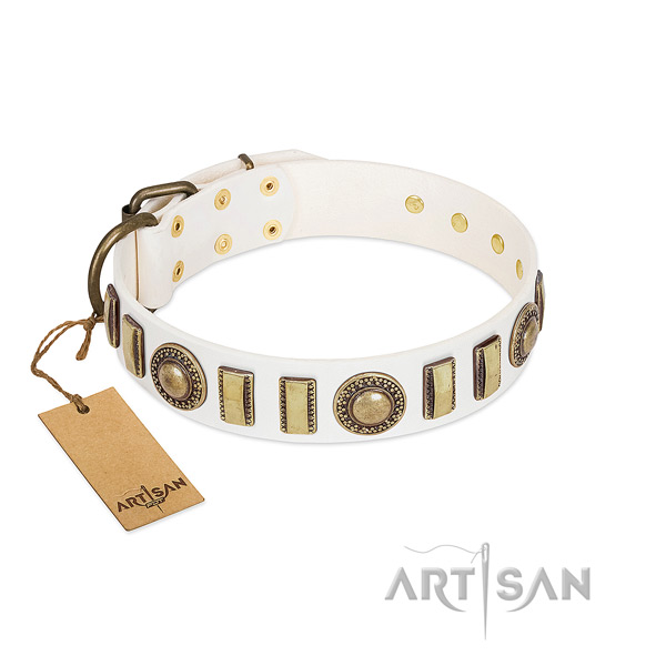 Adorned full grain genuine leather dog collar with durable hardware