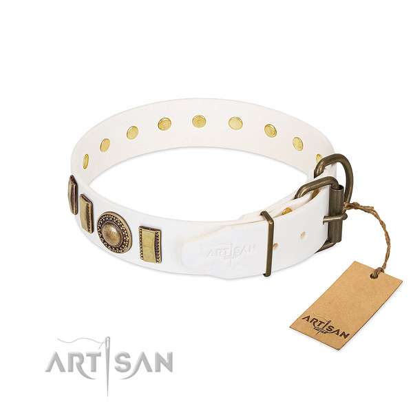 Amazing full grain genuine leather dog collar with rust resistant fittings