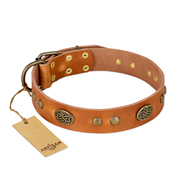 "Sun Beams" FDT Artisan Tan Leather Great Dane Collar with Decorations