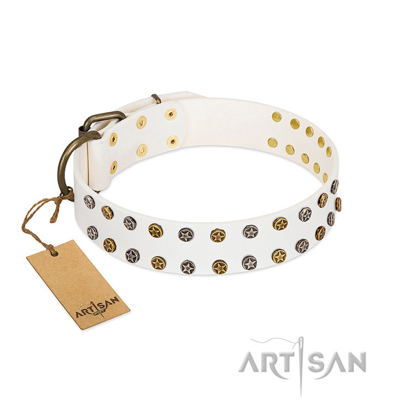 Unique leather dog collar with durable decorations