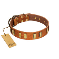 "Olive Slice" FDT Artisan Tan Leather Great Dane Collar with Engraved and Smooth Plates