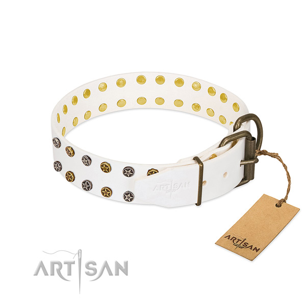 Natural leather collar with stylish embellishments for your dog