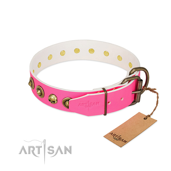 Full grain leather collar with impressive studs for your four-legged friend