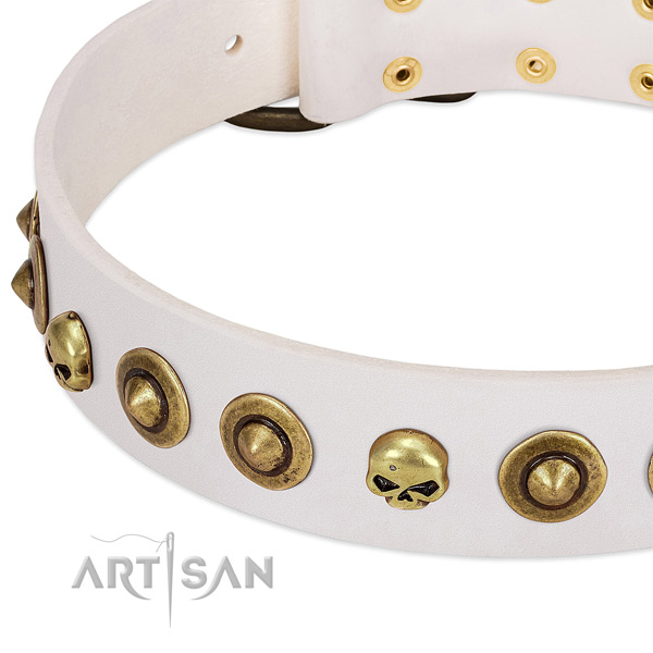 Remarkable decorations on full grain leather collar for your pet