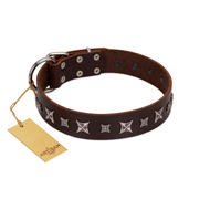 "Stellar Fairy " FDT Artisan Brown Leather Great Dane Collar with Chrome-plated Star-like Decorations