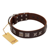 "Needle Stories" Modern FDT Artisan Brown Leather Great Dane Collar with Square Engraved Plates and Four-Point Stars