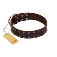 "Star Party" Handmade FDT Artisan Brown Leather Great Dane Collar with Silver-Like Studs