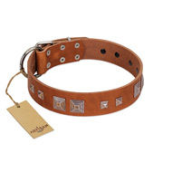 "Egyptian Gifts" Handmade FDT Artisan Tan Leather Great Dane Collar with Chrome-plated Pyramids