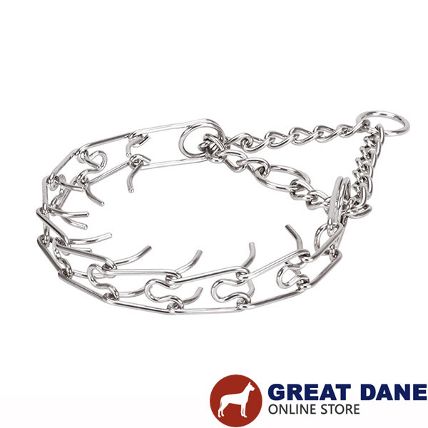 Large canines prong collar with stainless steel removable links