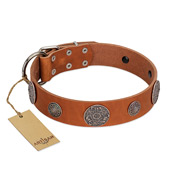 "Foxy Nature" FDT Artisan Tan Leather Great Dane Collar with Chrome Plated Brooches