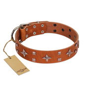 "Tawny Beauty" FDT Artisan Tan Leather Great Dane Collar Adorned with Stars and Tiny Squares