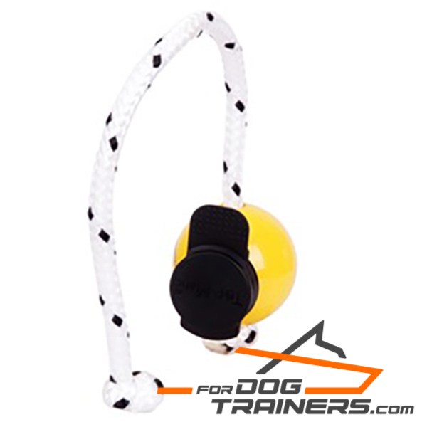 Yellow plastic dog ball