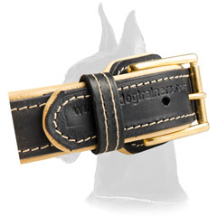 Chic Spiked Collar for Great Dane