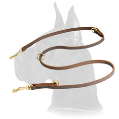 Functional Leather Leash for Great Dane