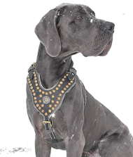 Great dane harness with handle sale