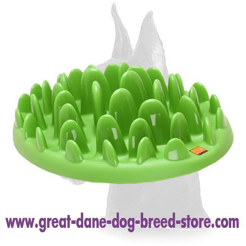 Big Plastic Slow Great Dane Feeder Ka17 1031 Interactive Slow Pet