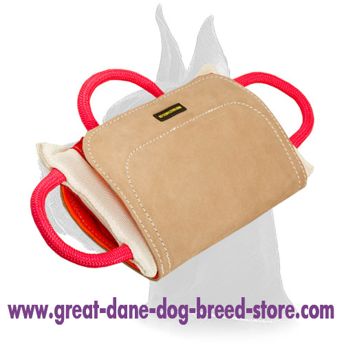Reliable biting pad for dog training with handles