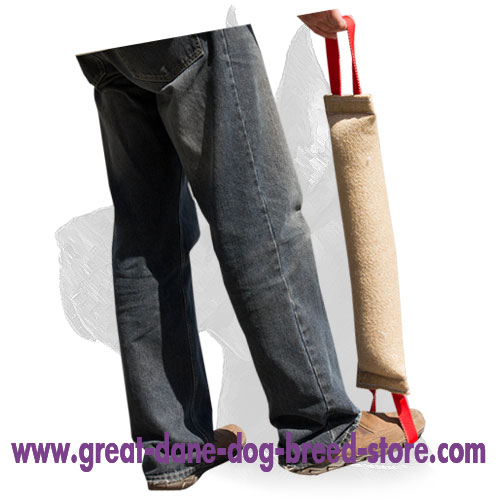 Durable Great Dane Bite Tug with Comfortable Handles