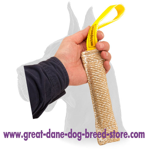 Training Pocket Jute Bite Tag for Pups