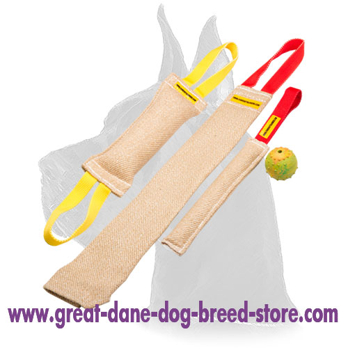 Bite Tug Set of Jute for Training Biting Skills