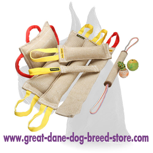 Bite Tug Set of Jute for Training Biting Skills