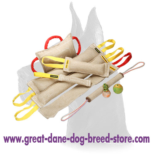 Great Dane Jute Bite Tug Set with a Gift