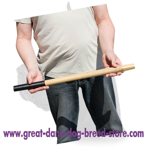 Training Bamboo Dog Stick