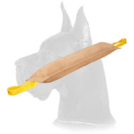 Double Handle Bite Tug of Durable Leather