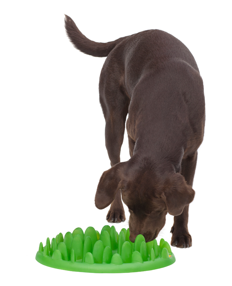 Big Plastic Slow Great Dane Feeder Ka17 1031 Interactive Slow Pet