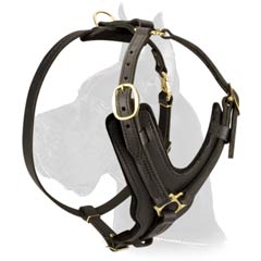 Great-Dane-Breed-Harness-For-Agitation-Training