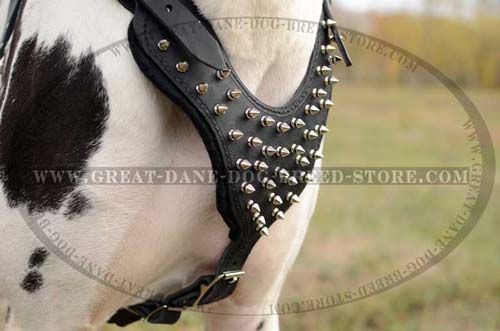 Top-quality Great Dane Dog Harness