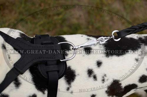 Exclusive Great Dane Harness