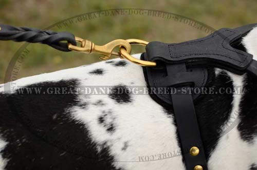 Exclusive Great Dane Dog Harness