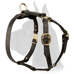 Great Dane Dog Leather Harness