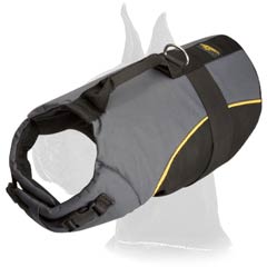 All Weather Great Dane Nylon Dog Harness