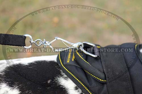 Exclusive Nylon Harness for Dane