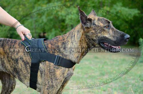 Durable Great Dane Nylon Harness