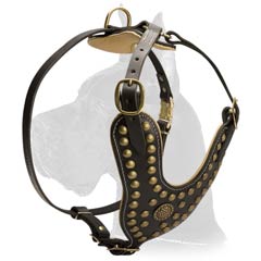 Great Dane Dog Harness with decoration