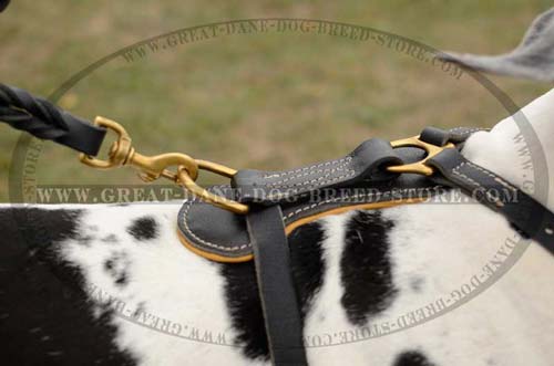 Exclusive Great Dane Dog Harness